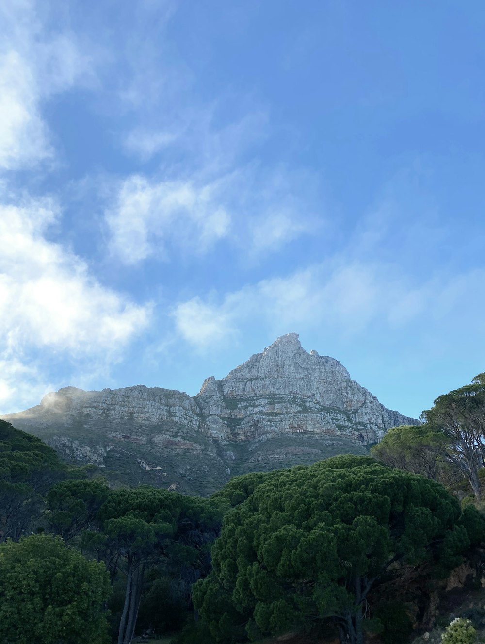 green trees on mountain under white clouds and blue sky during daytime