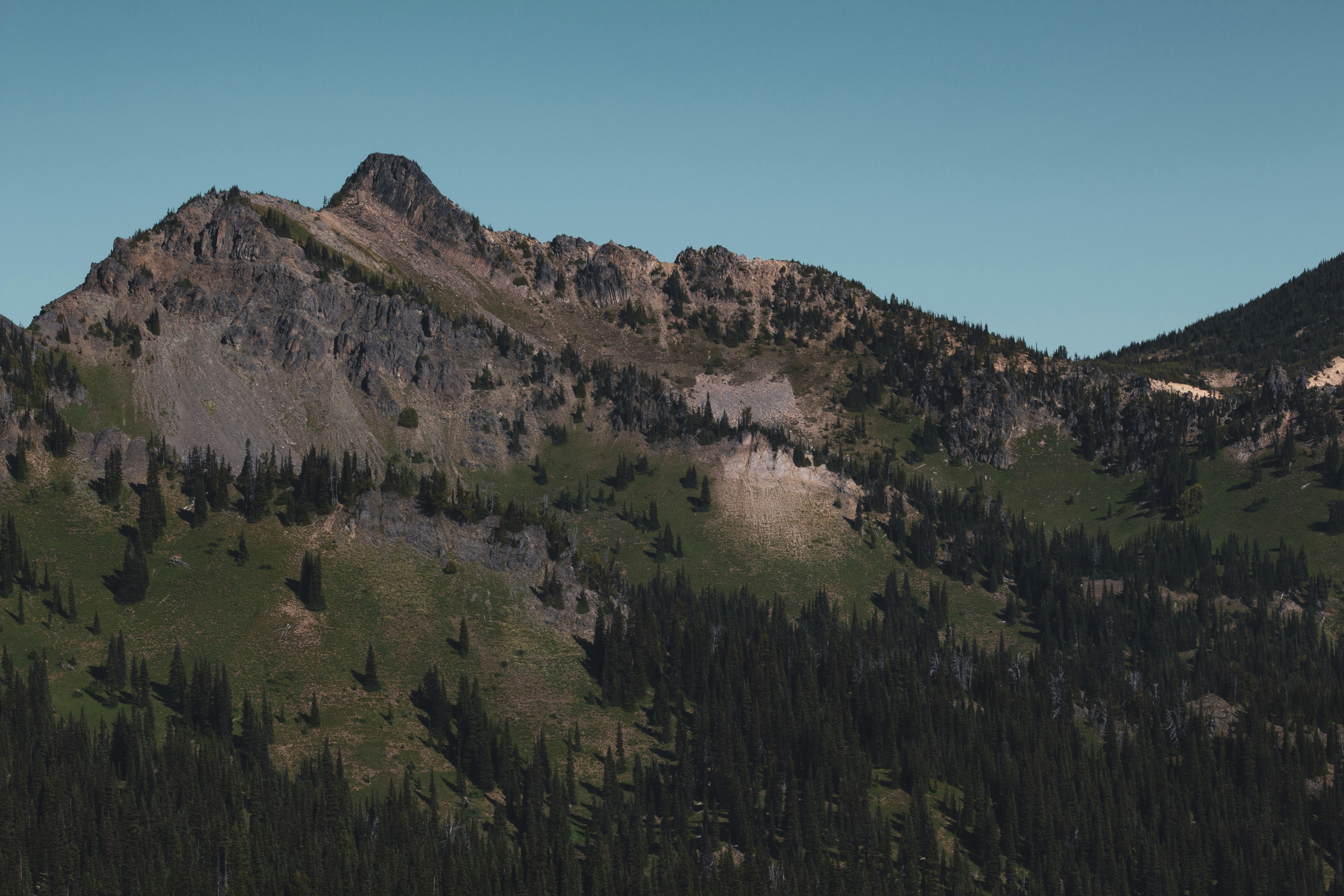 green trees on mountain under blue sky during daytime