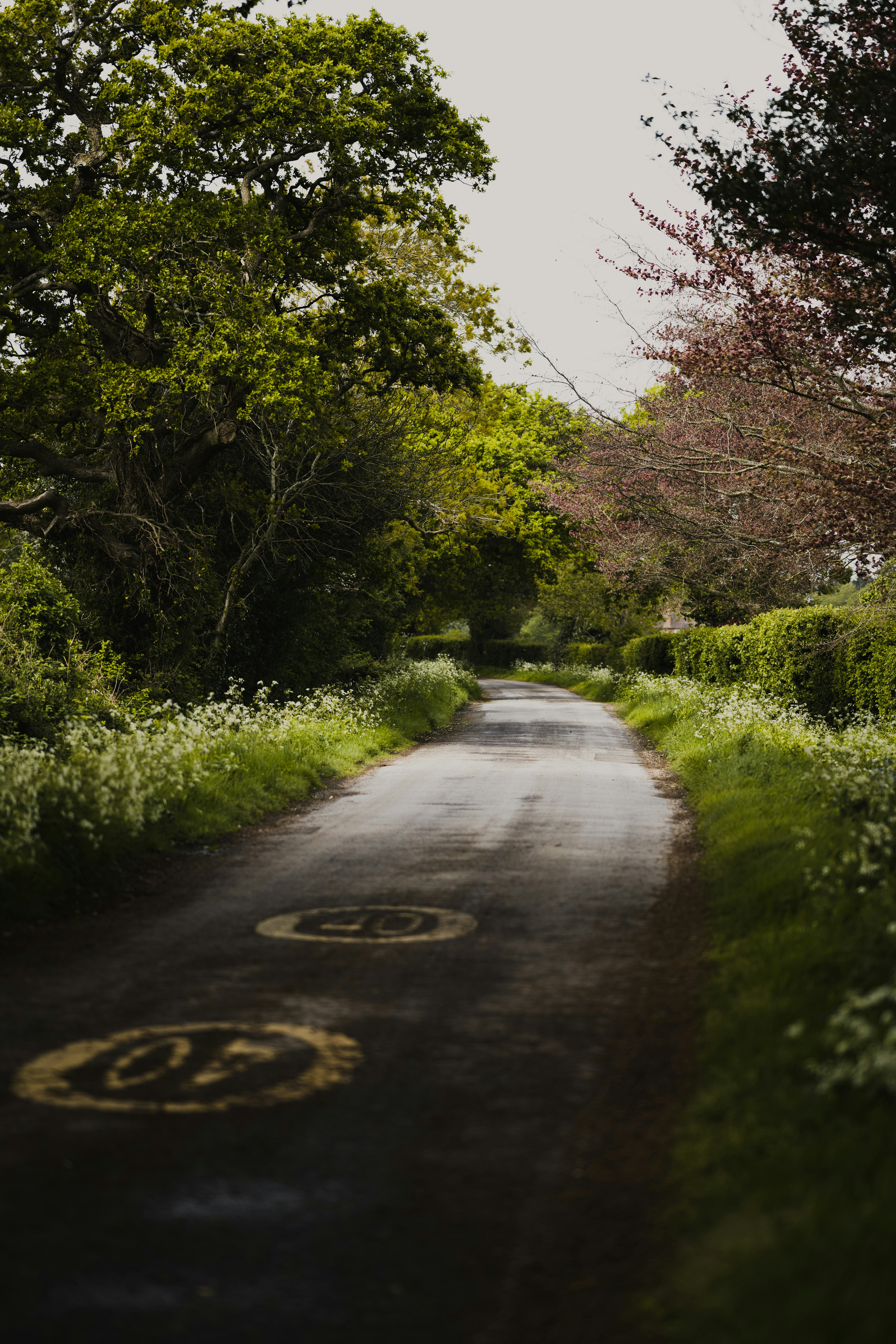 Photo by anniespratt