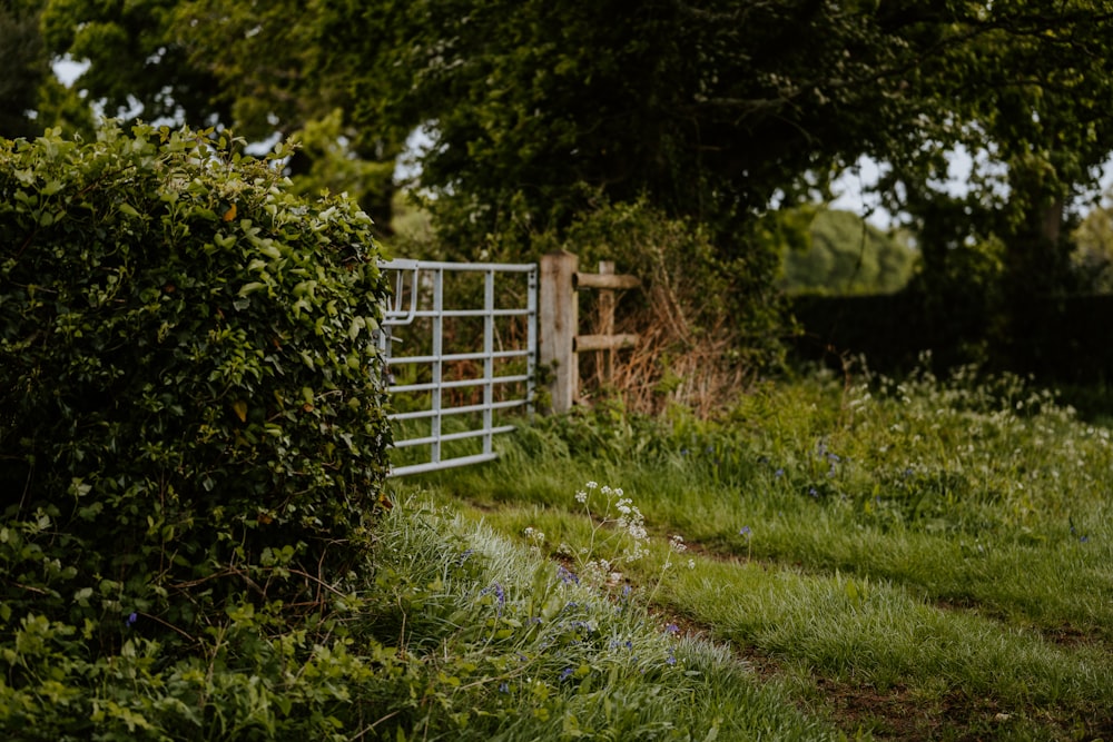 green grass field near white wooden fence during daytime