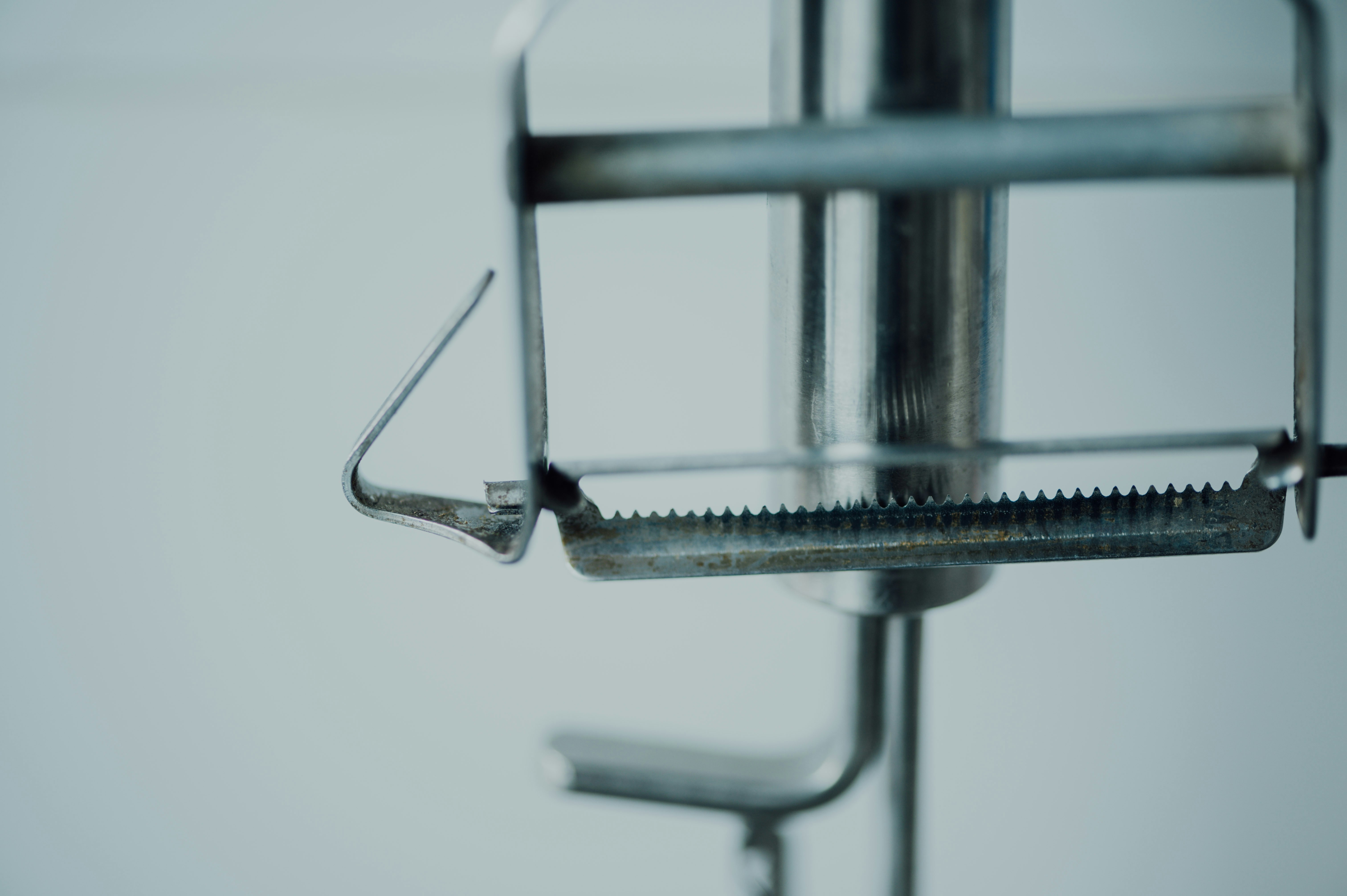 Photo by chuttersnap