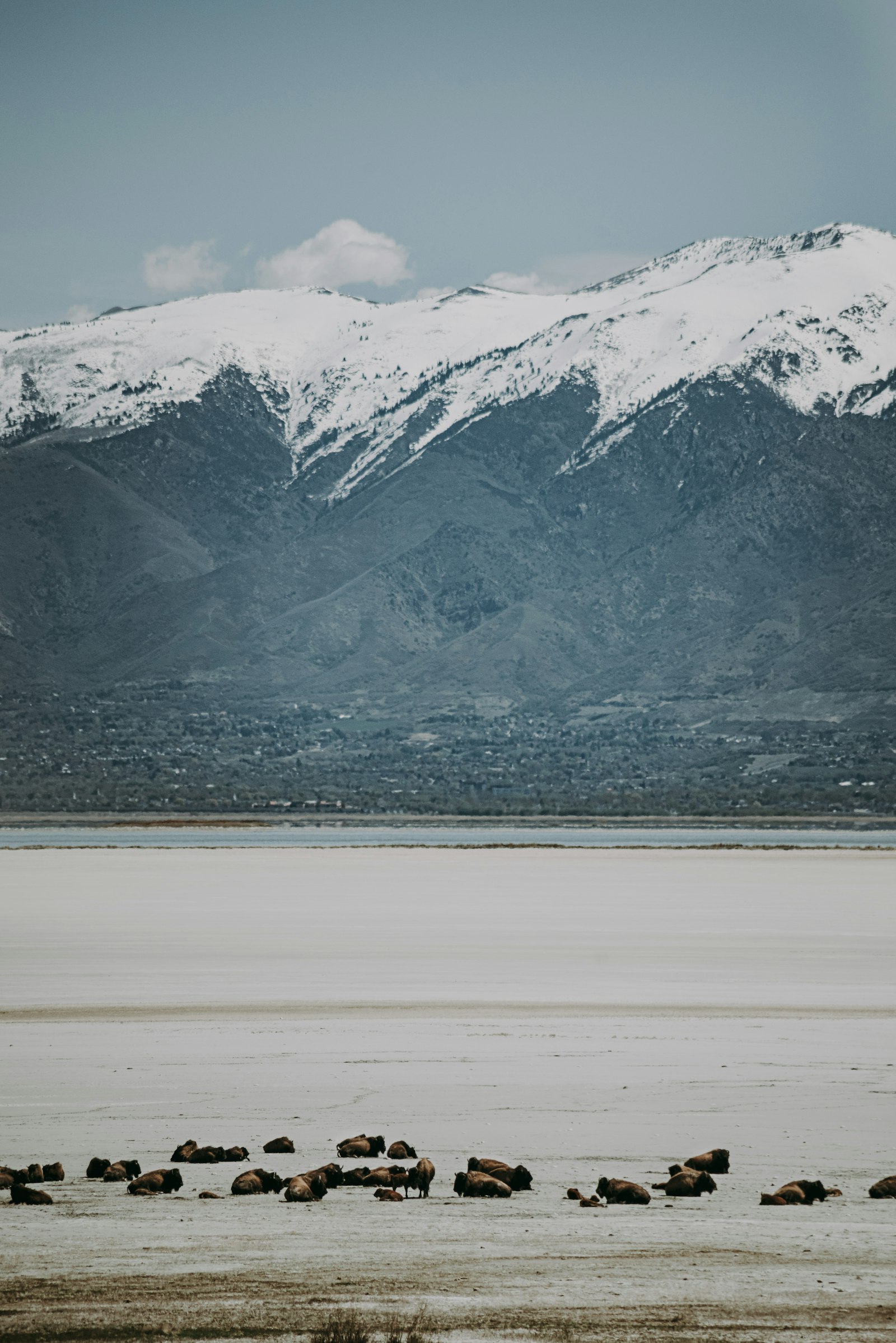 Nikon D810 + Tamron SP 70-300mm F4-5.6 Di VC USD sample photo. Snow covered mountain during photography