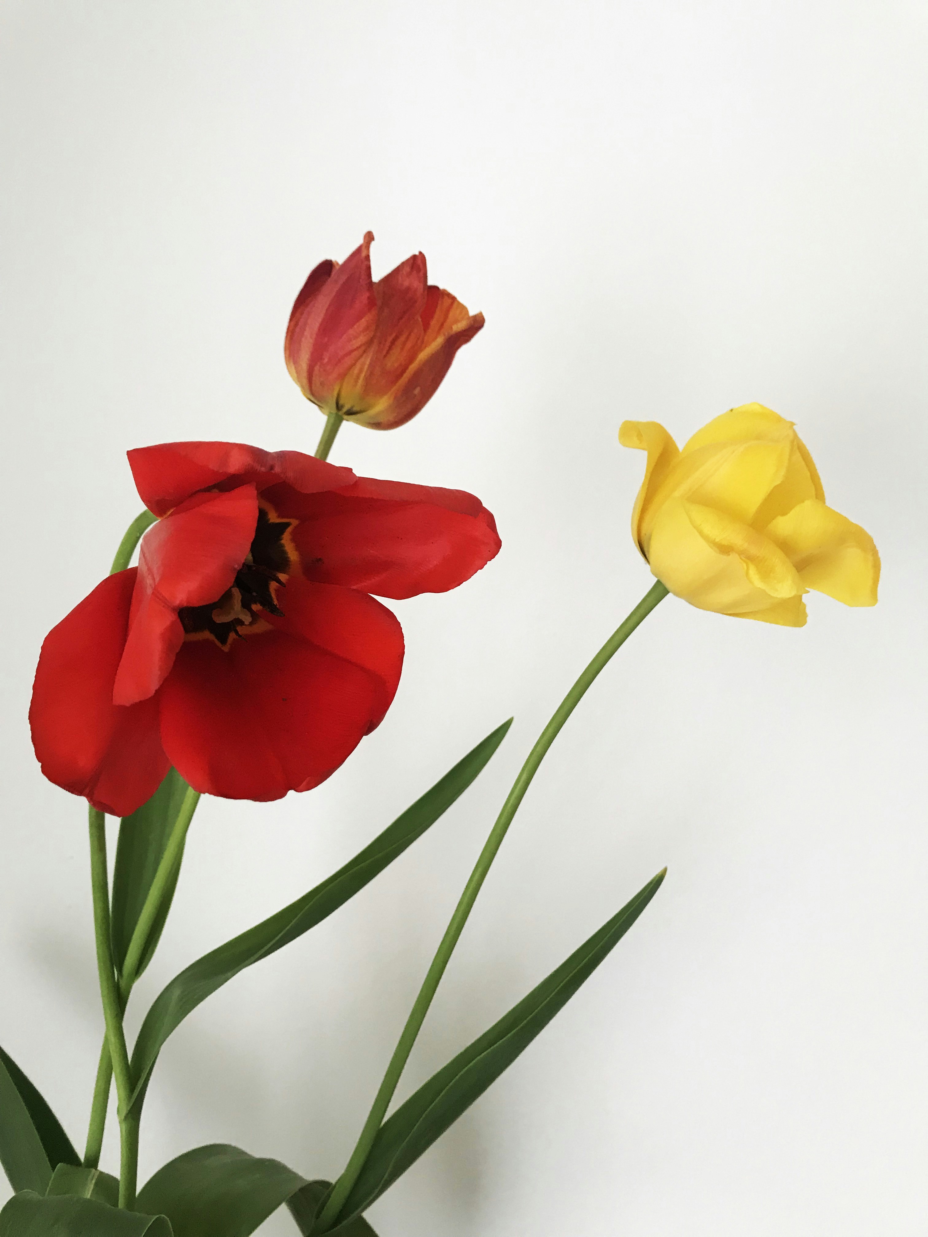 Photo by danijela777