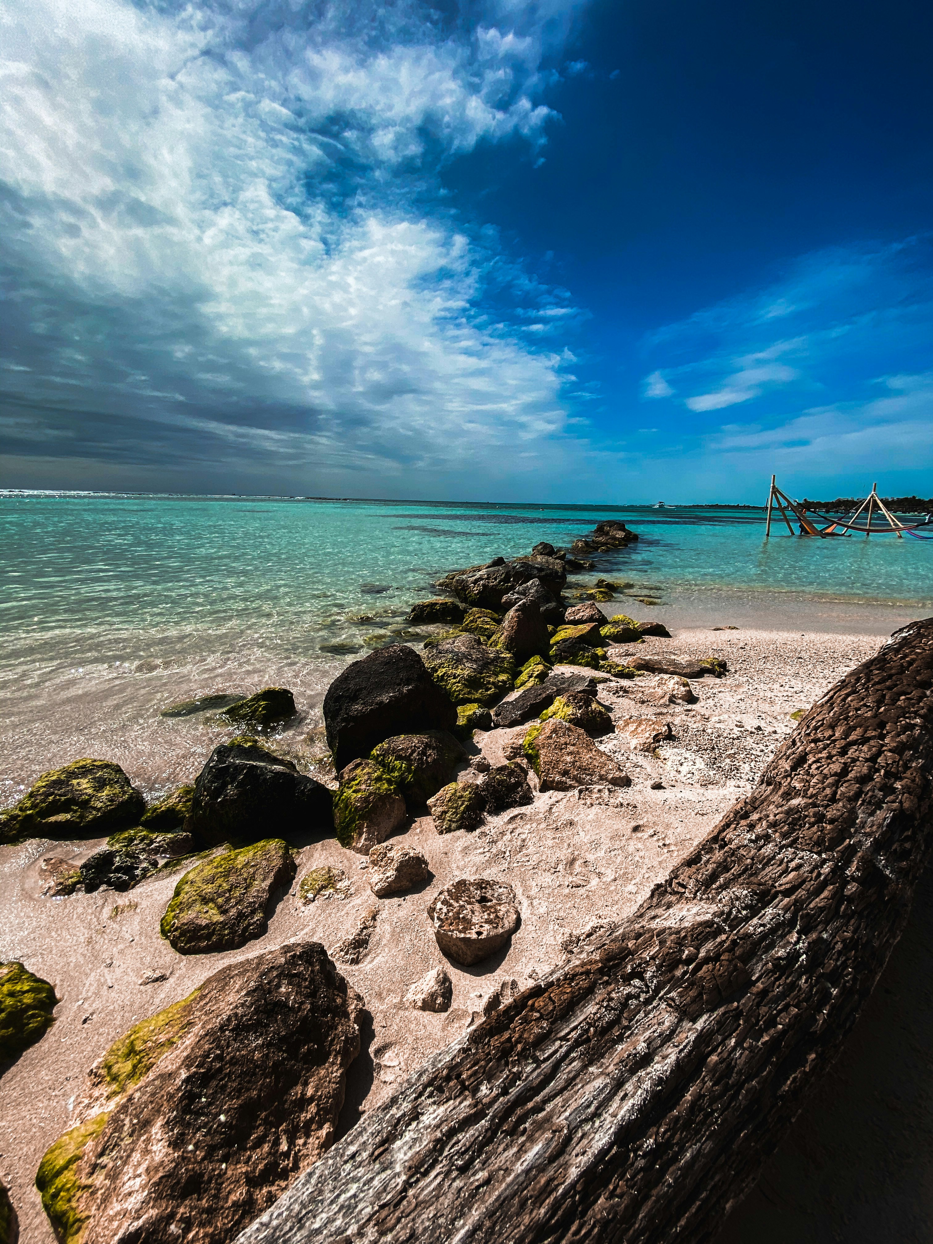 Photo by francisco433