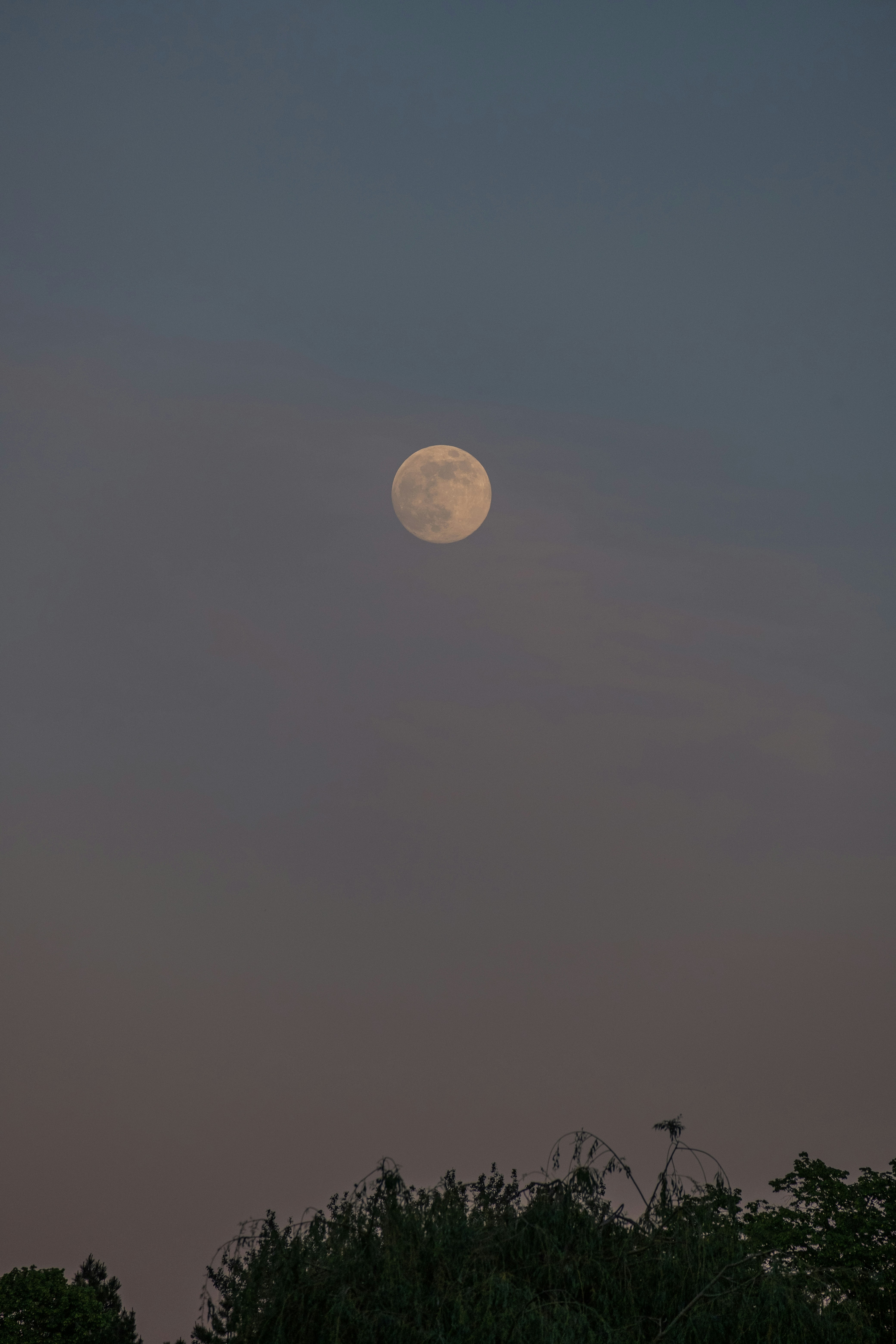 Photo by mimoto_photo