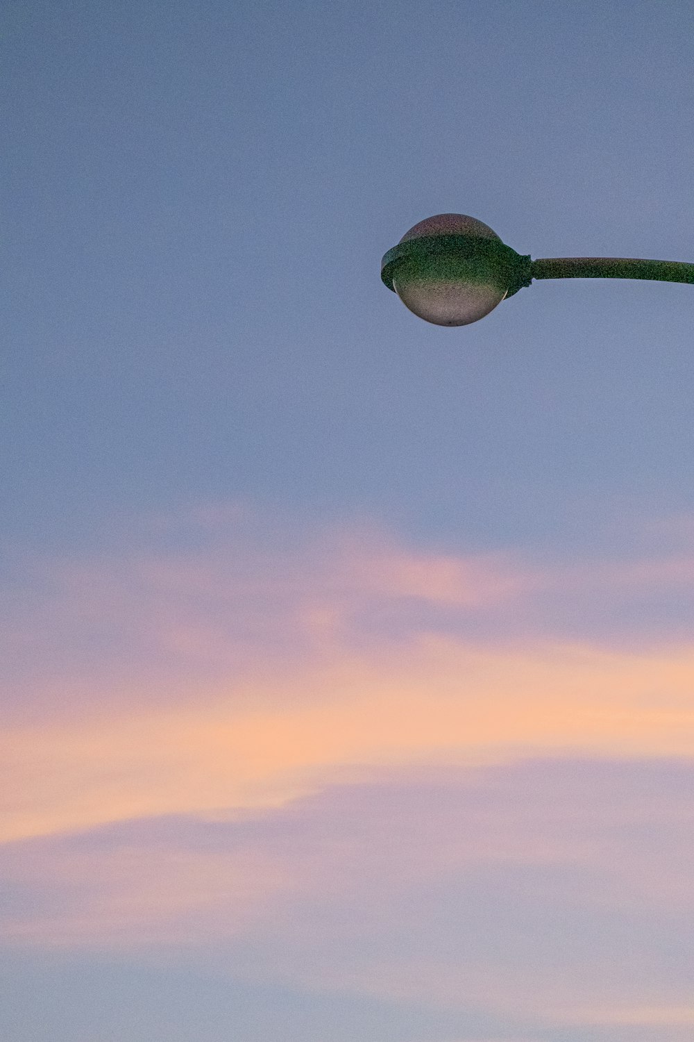 green fruit under blue sky during daytime