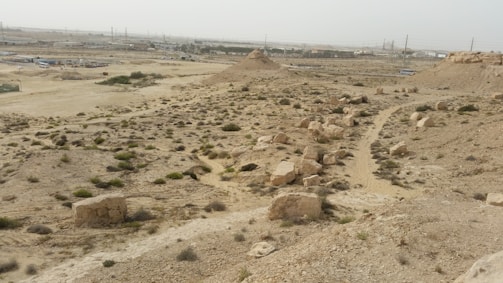 A panoramic view of the barren land in Bani Walid, showing the vast area designated for the new cement plant.