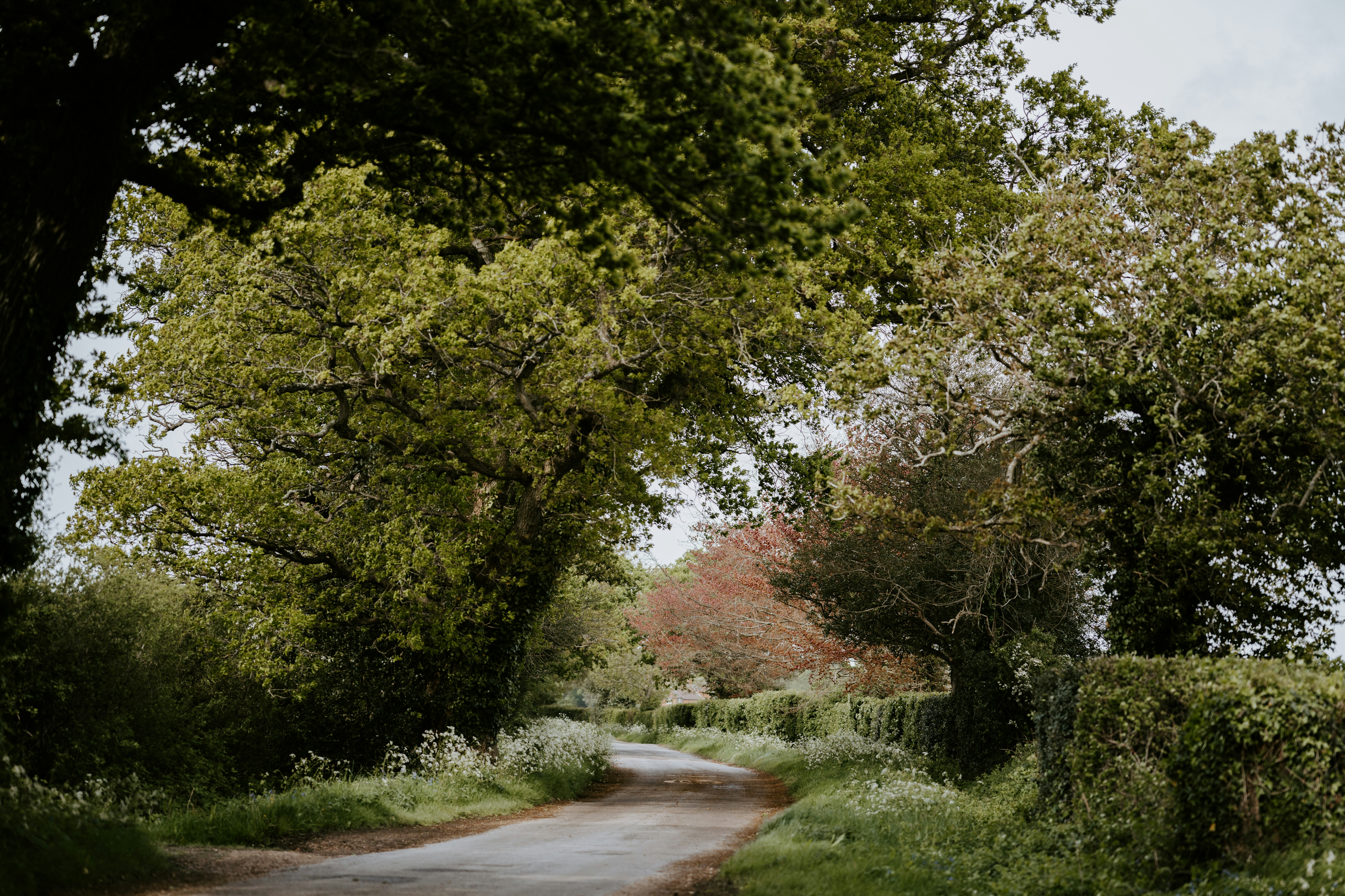 Photo by anniespratt