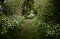 A peaceful walking path winding through the residential area, bordered by grass and wildflowers.