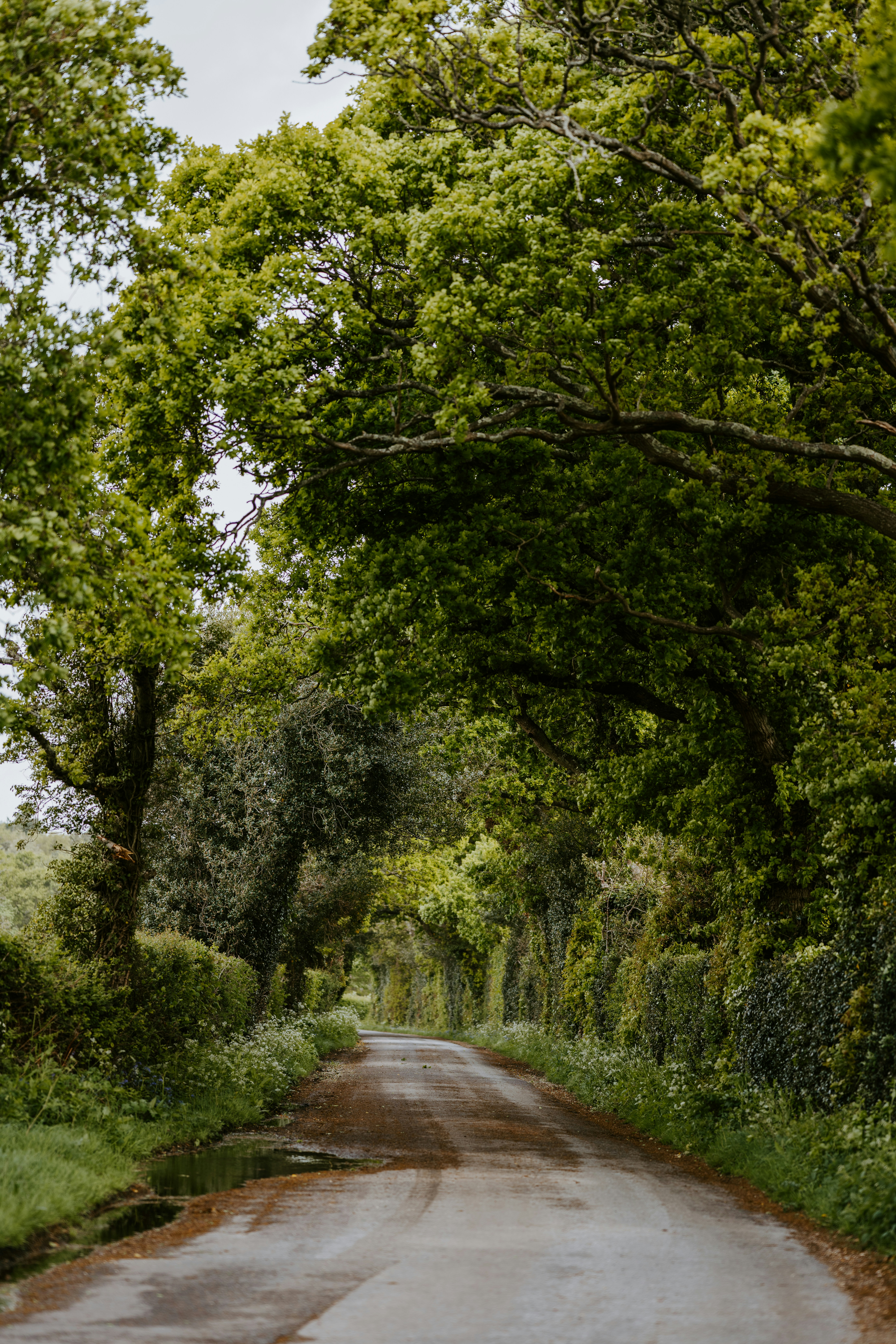 Photo by anniespratt