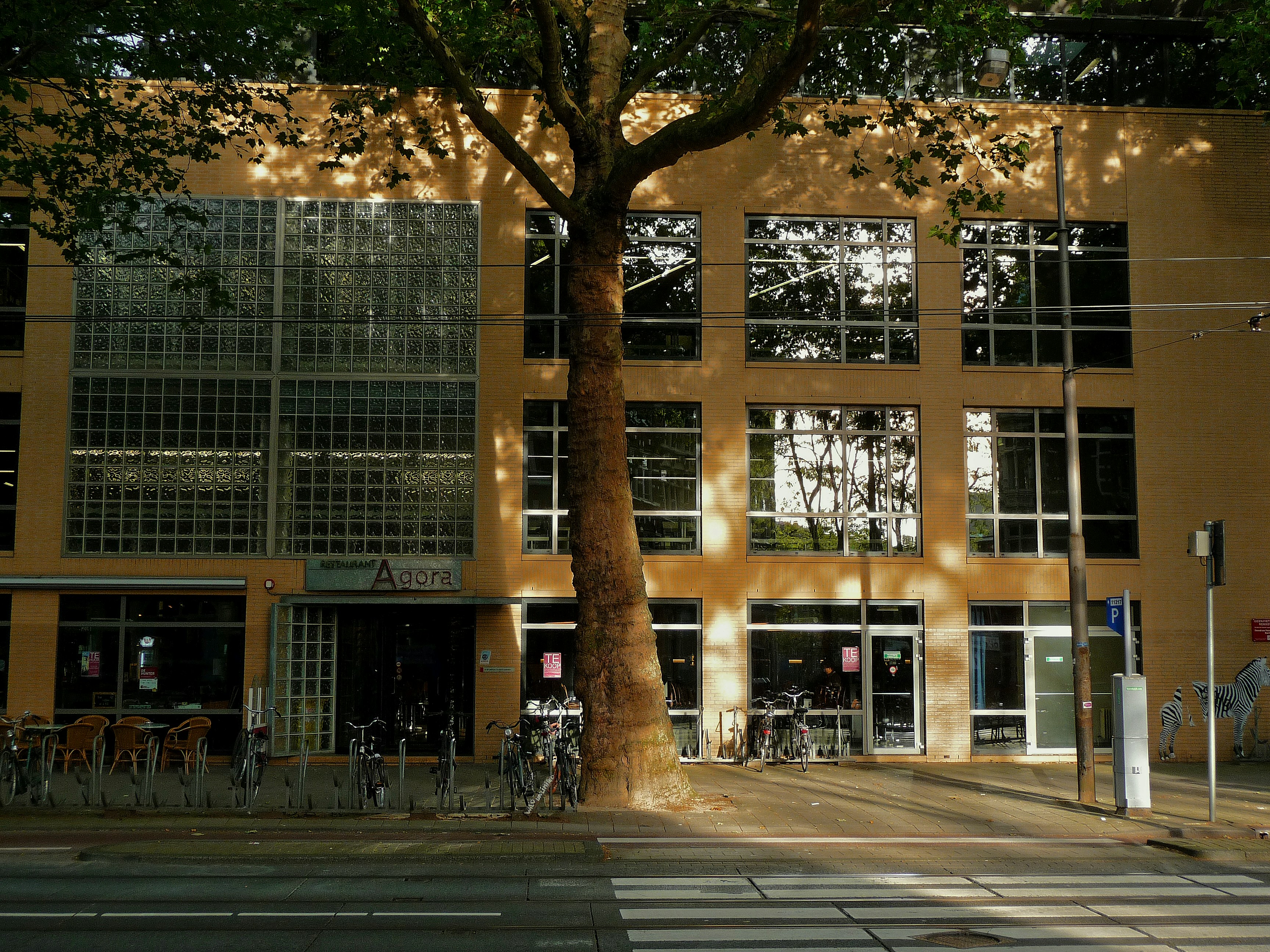 photo-1588862107138-db74ff61a375?ixid=M3wxMjA3fDB8MXxzZWFyY2h8NHx8aWNjcyUyMHBoaWxvc29waHklMjBzY2hvb2x8ZW58MHx8fHwxNzYzODA2NTA2fDA\u0026ixlib=rb-4.1.0