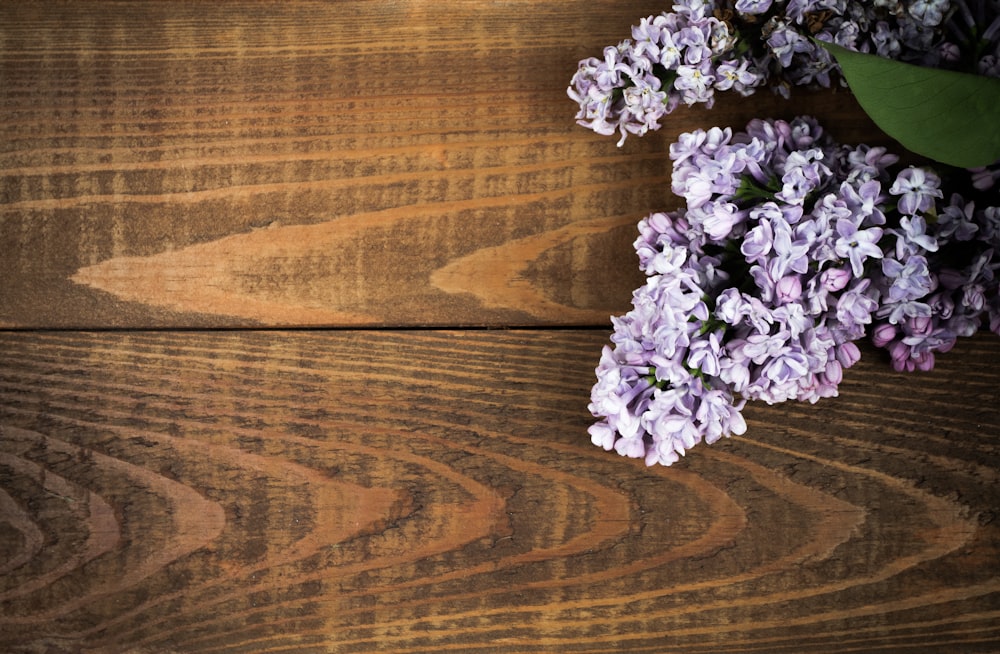 purple flowers on brown wooden table