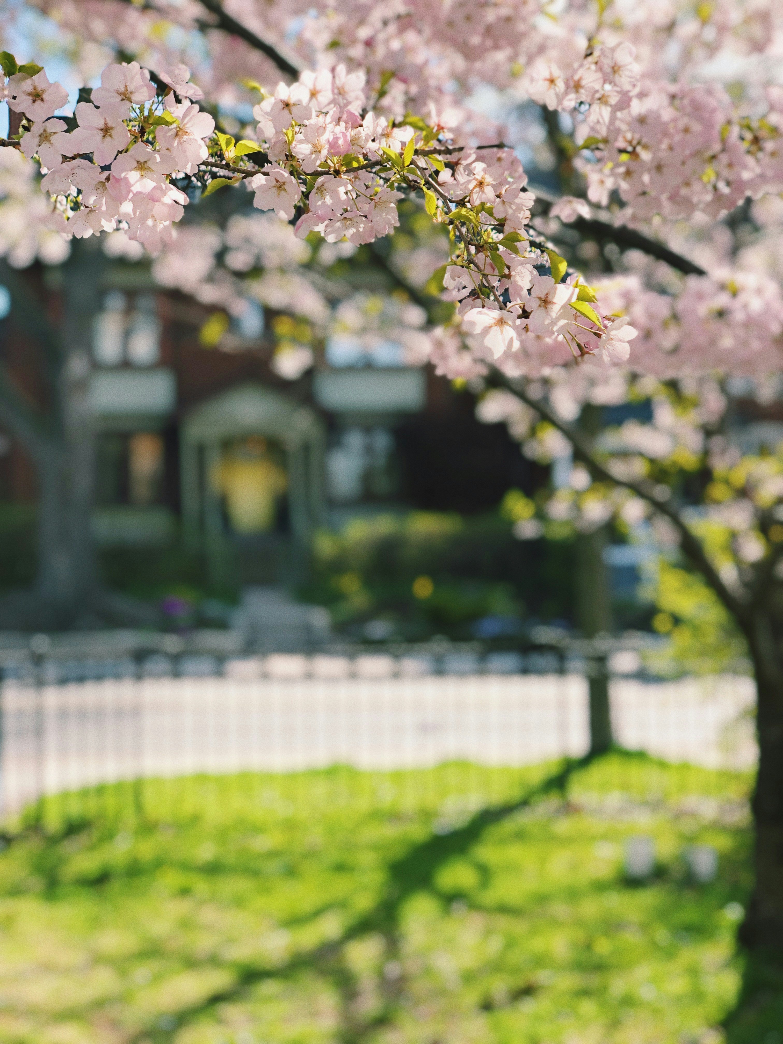 Photo by jane_palash