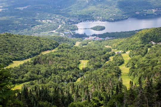 green trees and green grass field near body of water during daytime in Mont-Tremblant National Park Canada
