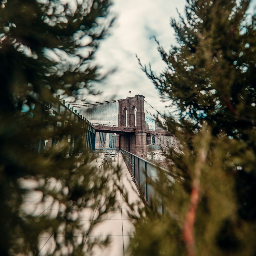 brown wooden house in the middle of green trees