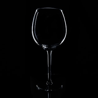 A wine glass is delicately outlined against a stark black background. The lighting accentuates the elegant contours and curves of the glass, creating a dramatic and sophisticated silhouette.