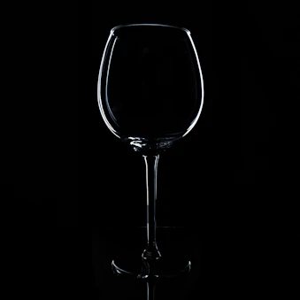 clear wine glass with water