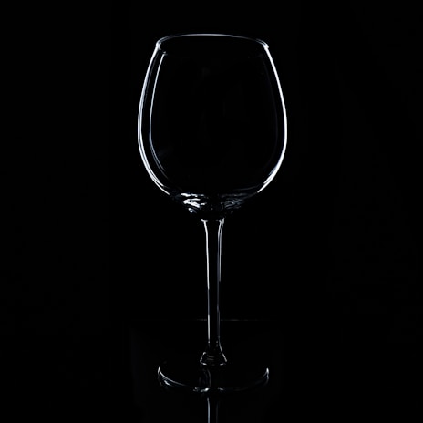 A wine glass is delicately outlined against a stark black background. The lighting accentuates the elegant contours and curves of the glass, creating a dramatic and sophisticated silhouette.