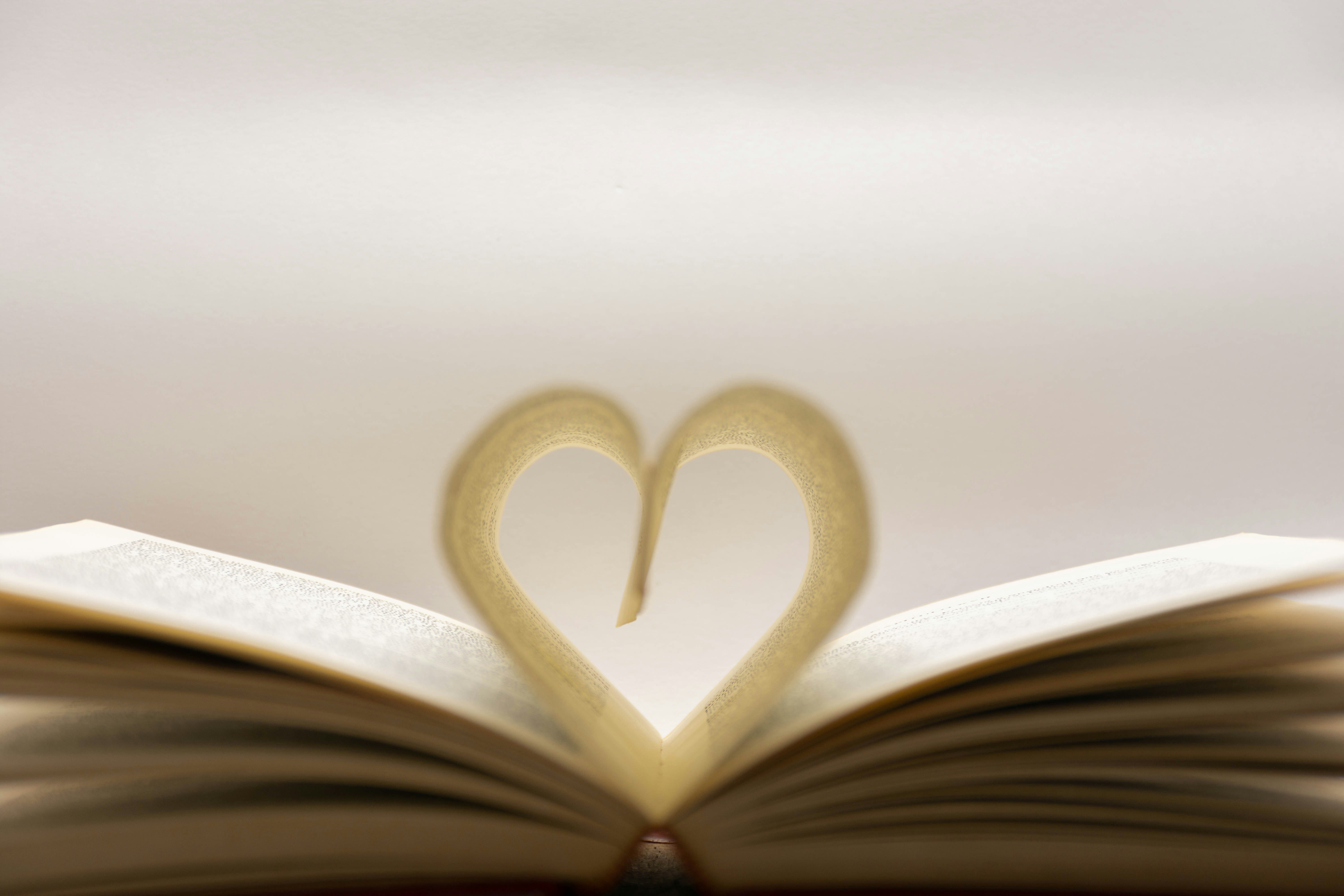 Photo by lucasgwendt