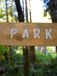 A wooden sign with the word 'PARK' painted in white letters. The sign is positioned in a natural environment with green foliage and trees in the background. The wood grain and texture of the sign are clearly visible.