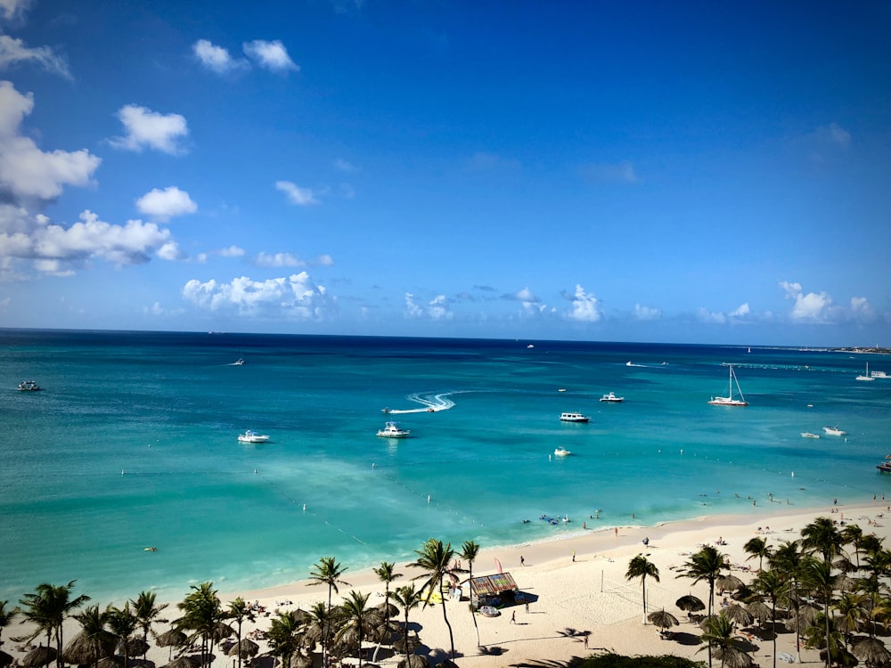 people on beach during daytime