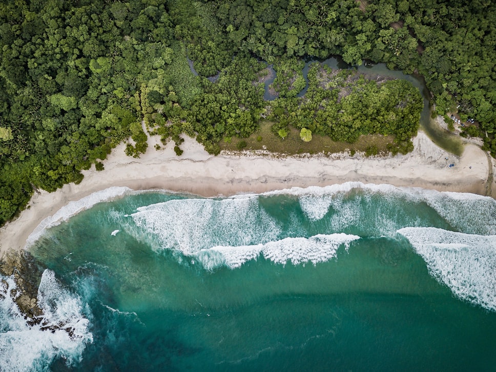 Ariel view of Cano Island beach and forest