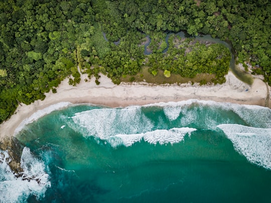 aerial view of green trees beside body of water during daytime in Nicoya Costa Rica