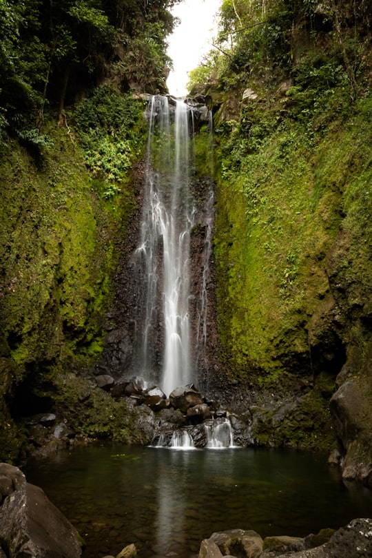 water falls in the middle of green trees in Turrialba Costa Rica