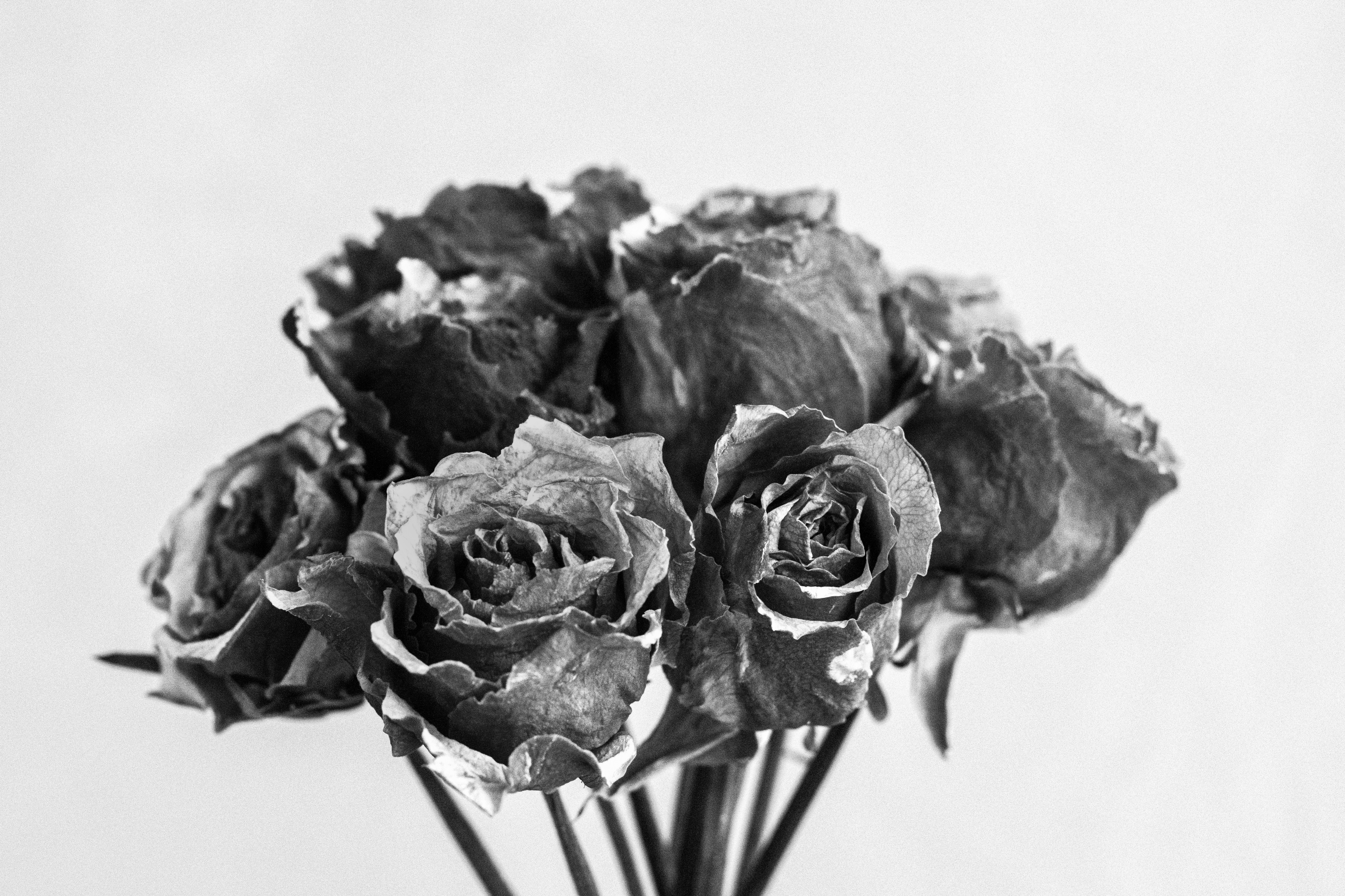 Photo by jahirbaylon