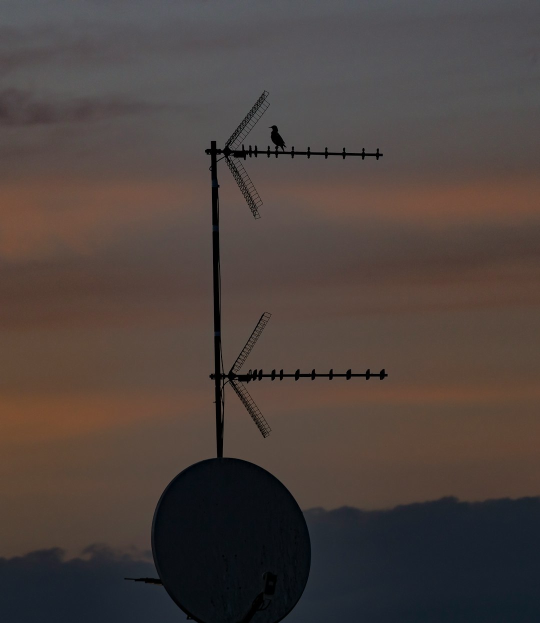 silhouette of wind turbines during sunset