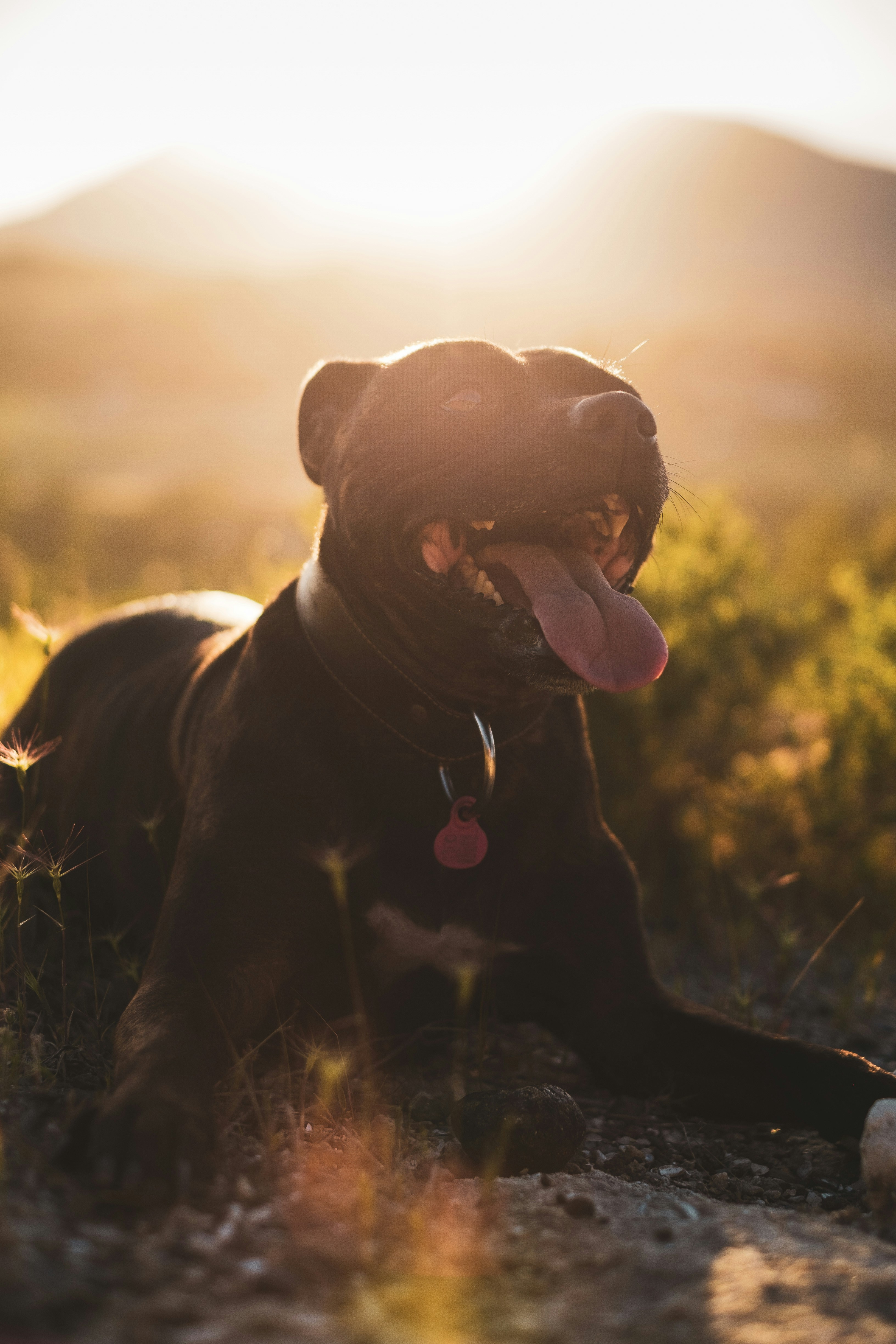 Photo by victor_vector