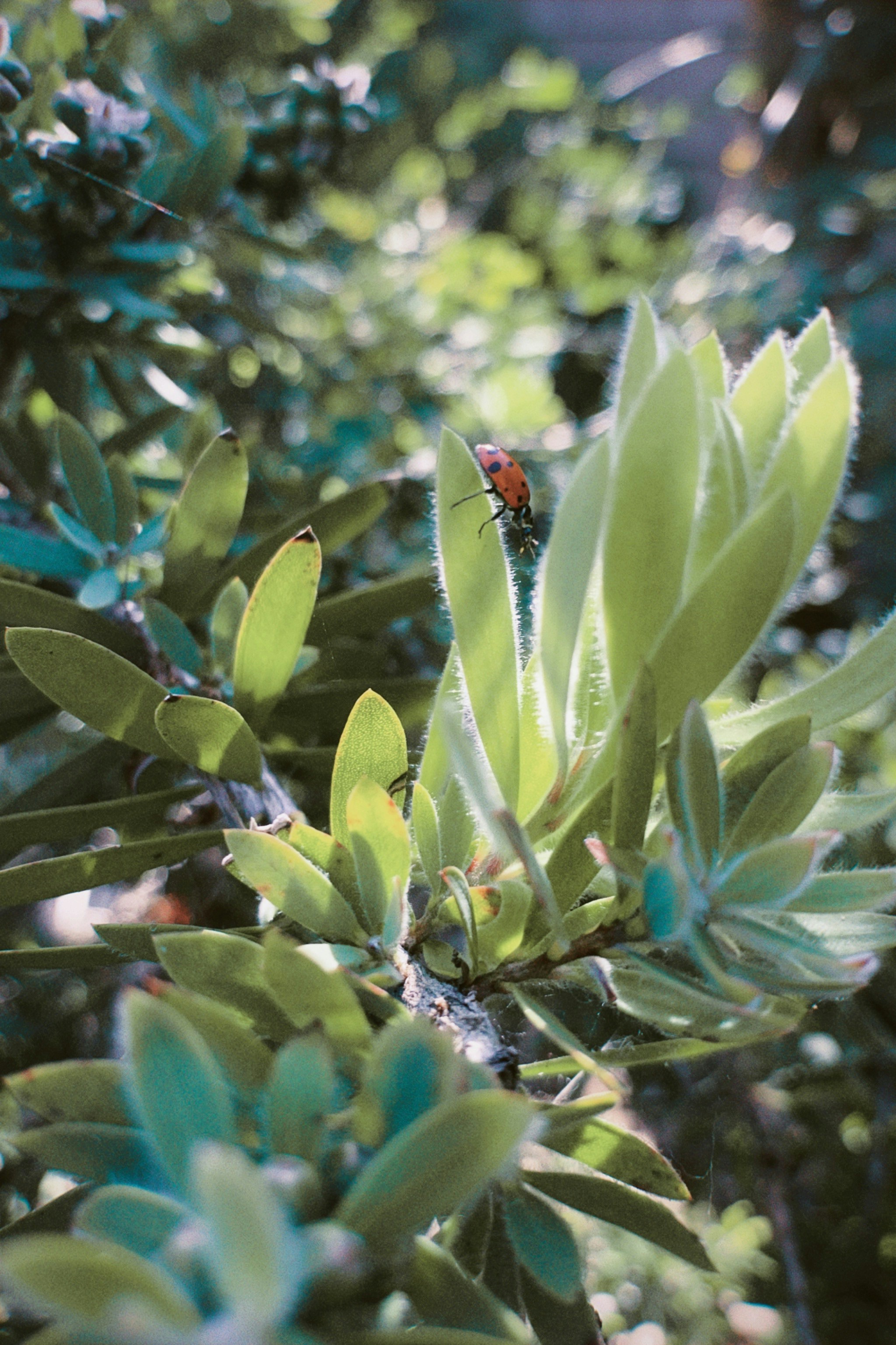 Photo by matti_johnson