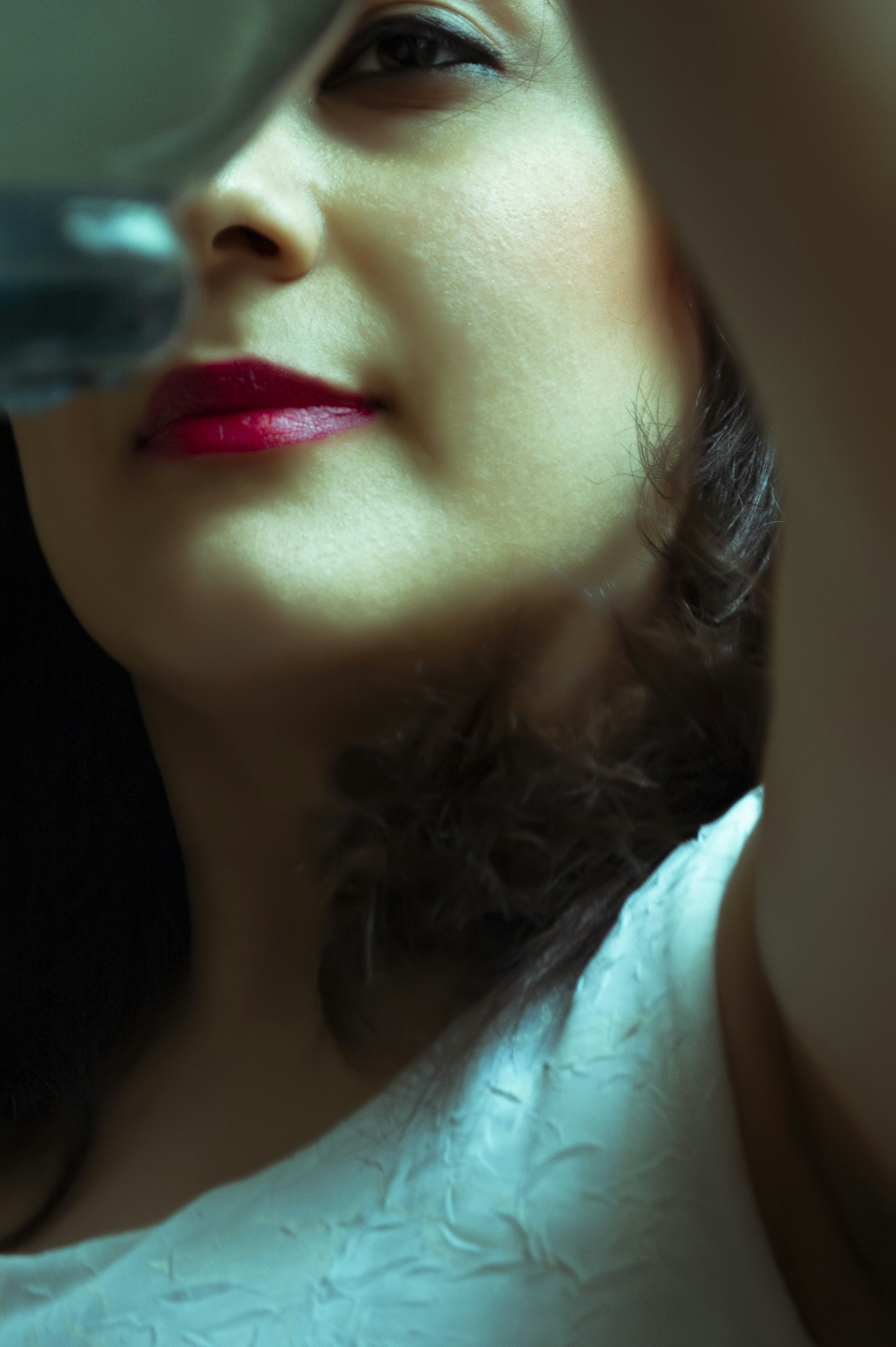 Photo by baranlotfollahi