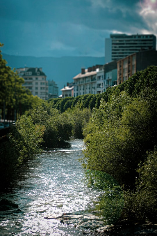 green trees near river during daytime in Chambéry France