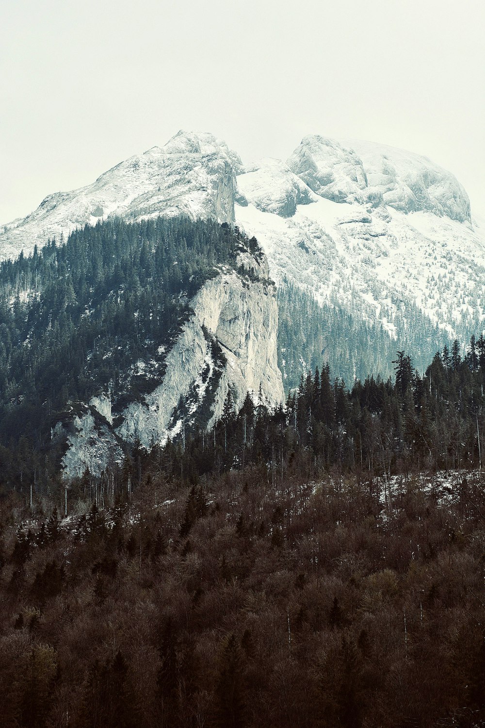 gray rocky mountain with green trees