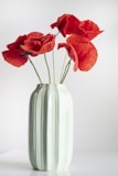 Déco intérieur, Bibelots, Ustensiles, Rideaux et autres à petits prix.