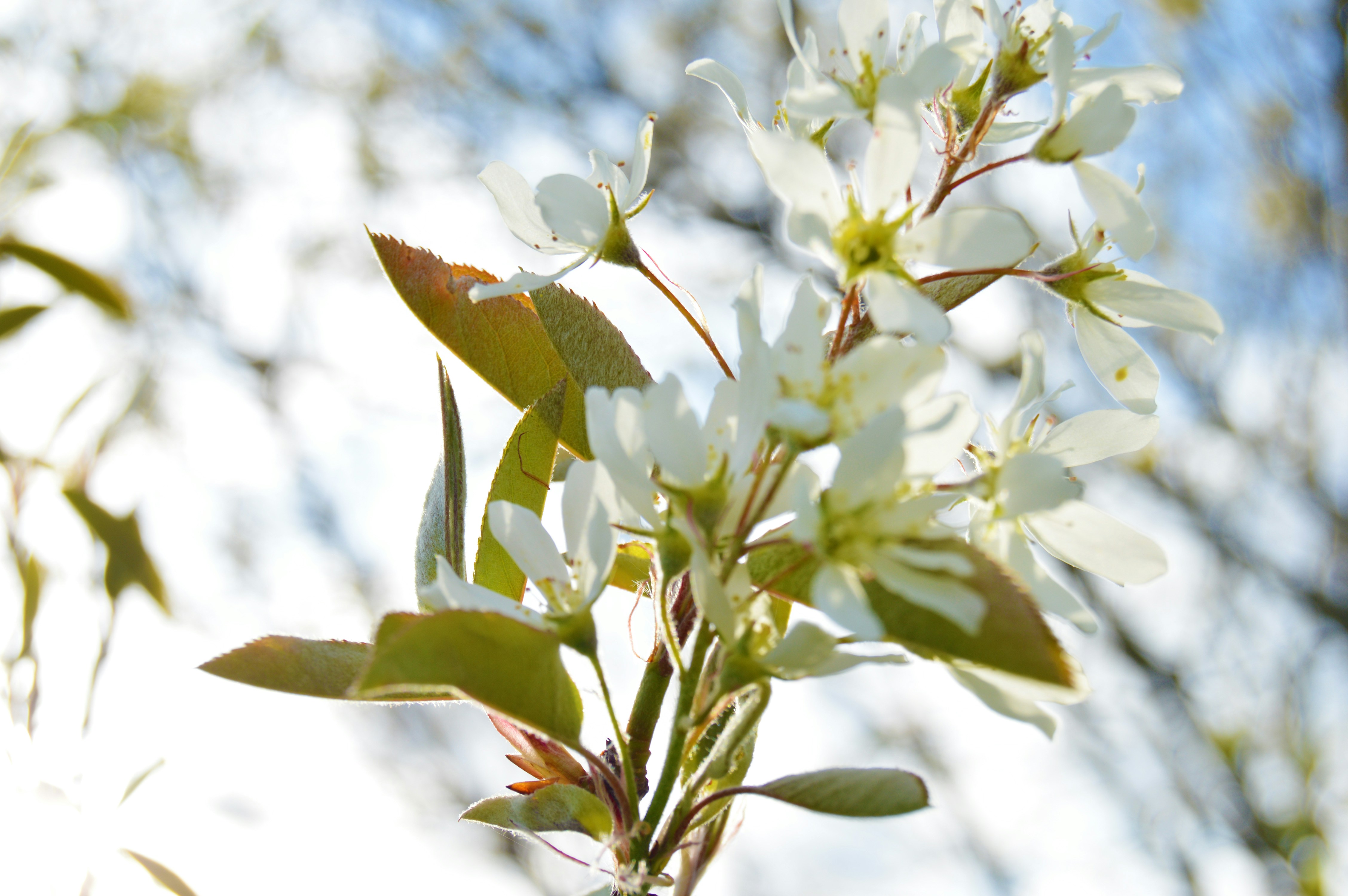 Photo by jessebalaydesigns