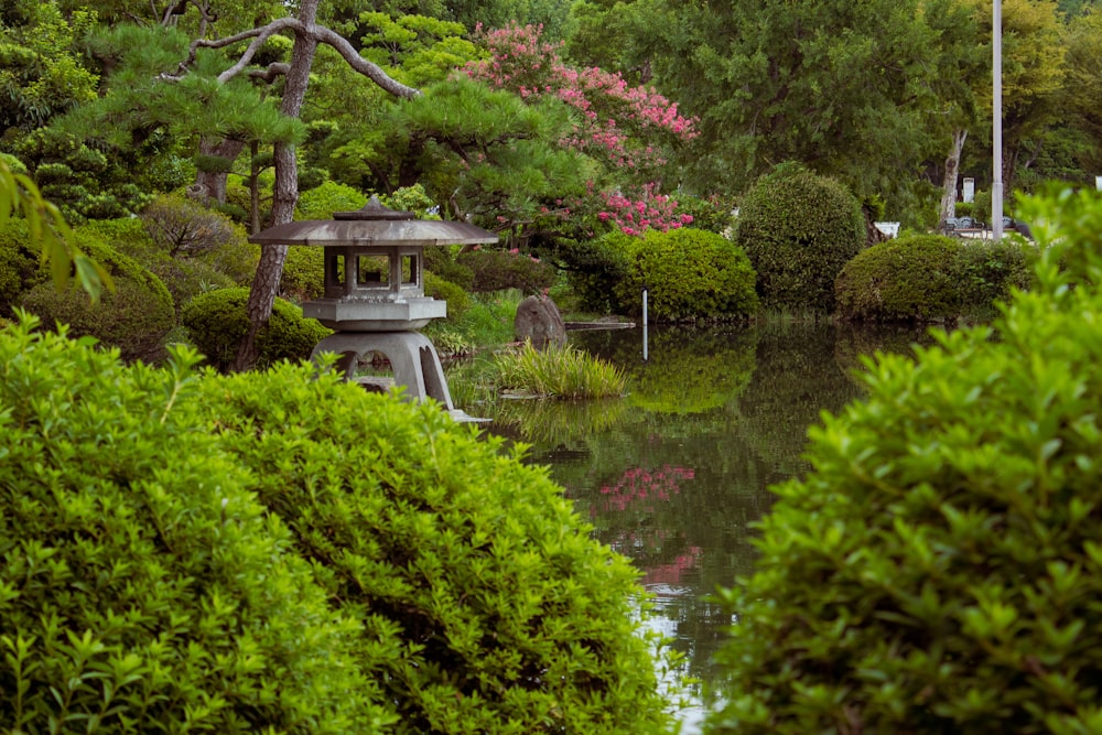 green and pink flower garden