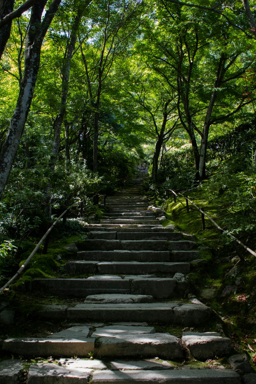 gray concrete staircase between green trees during daytime