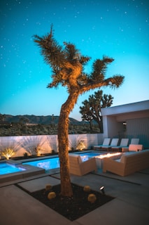 A serene outdoor space with a stylish pool area is lit warmly at twilight. A prominent desert tree stands in the foreground next to modern white lounge chairs arranged around a sleek fire pit. The area is surrounded by a low wall with some plants, and a backdrop of mountains is visible under a clear, starry sky.