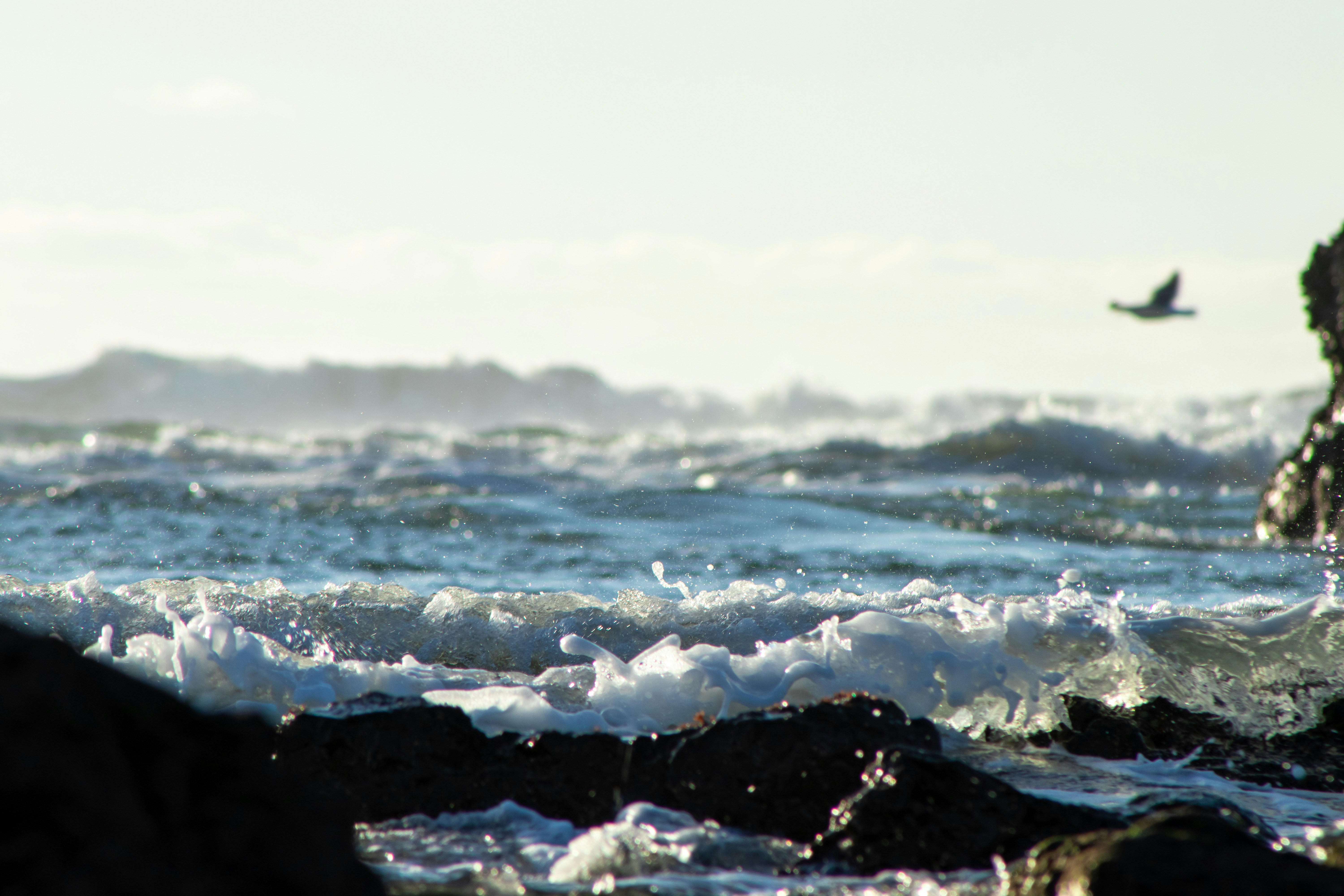 Photo by jonathanmuriu