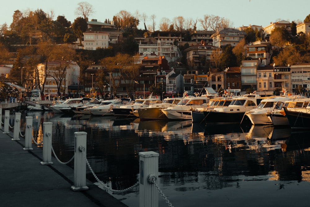 white and brown boat on dock during daytime