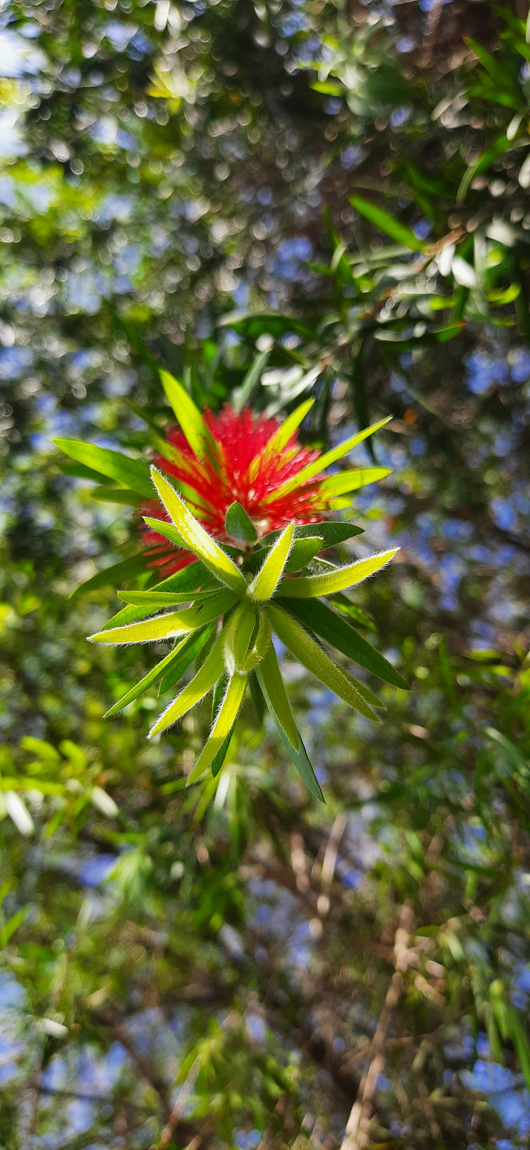 Photo by loveliness_piyush