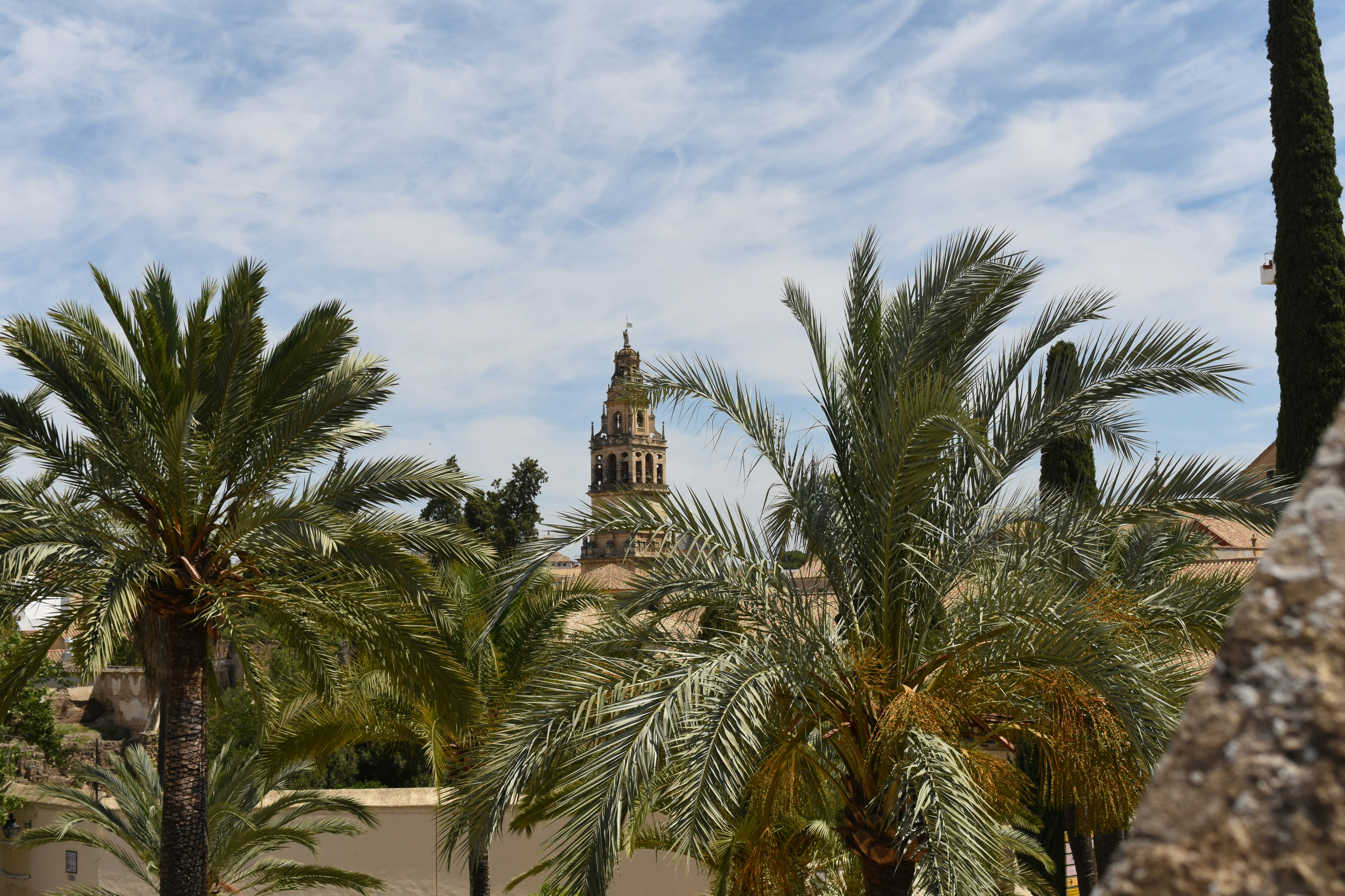 green palm trees near brown concrete building during daytime, Córdoba.