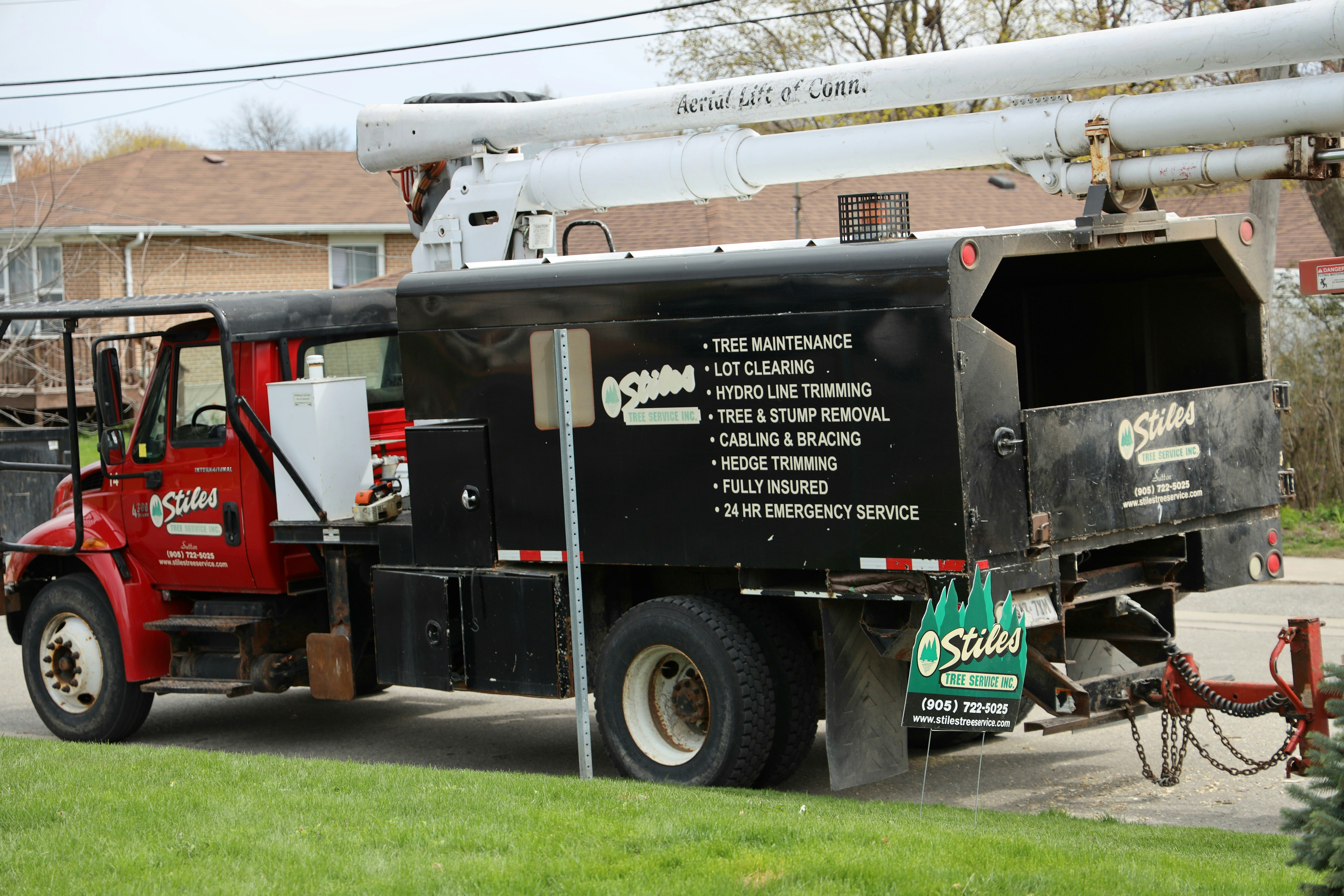 How to Effectively Remove Trees in Doha, Qatar