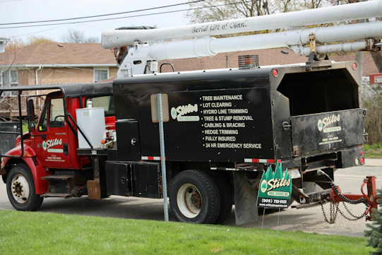 A friendly customer service representative wearing a headset, ready to assist with tree service leads.