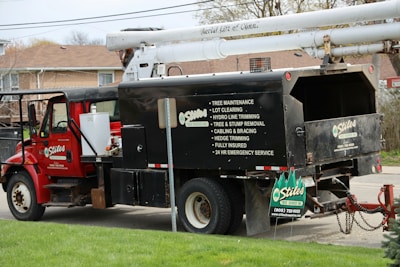 A red utility truck is equipped for tree maintenance, featuring detailed contact information and services such as lot clearing, hydro line trimming, and tree removal. The truck's design includes a hydraulic lift arm, positioned beside a residential area with green grass in the foreground.