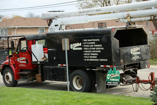 A red utility truck is equipped for tree maintenance, featuring detailed contact information and services such as lot clearing, hydro line trimming, and tree removal. The truck's design includes a hydraulic lift arm, positioned beside a residential area with green grass in the foreground.
