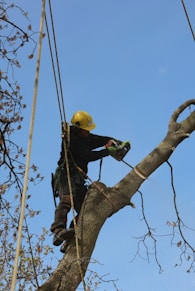 a man in a yellow helmet is climbing up a tree