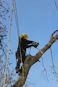 a man in a yellow helmet is climbing up a tree